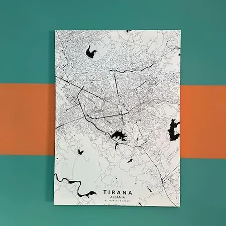 Daire Vibrant & Oasis Tiran